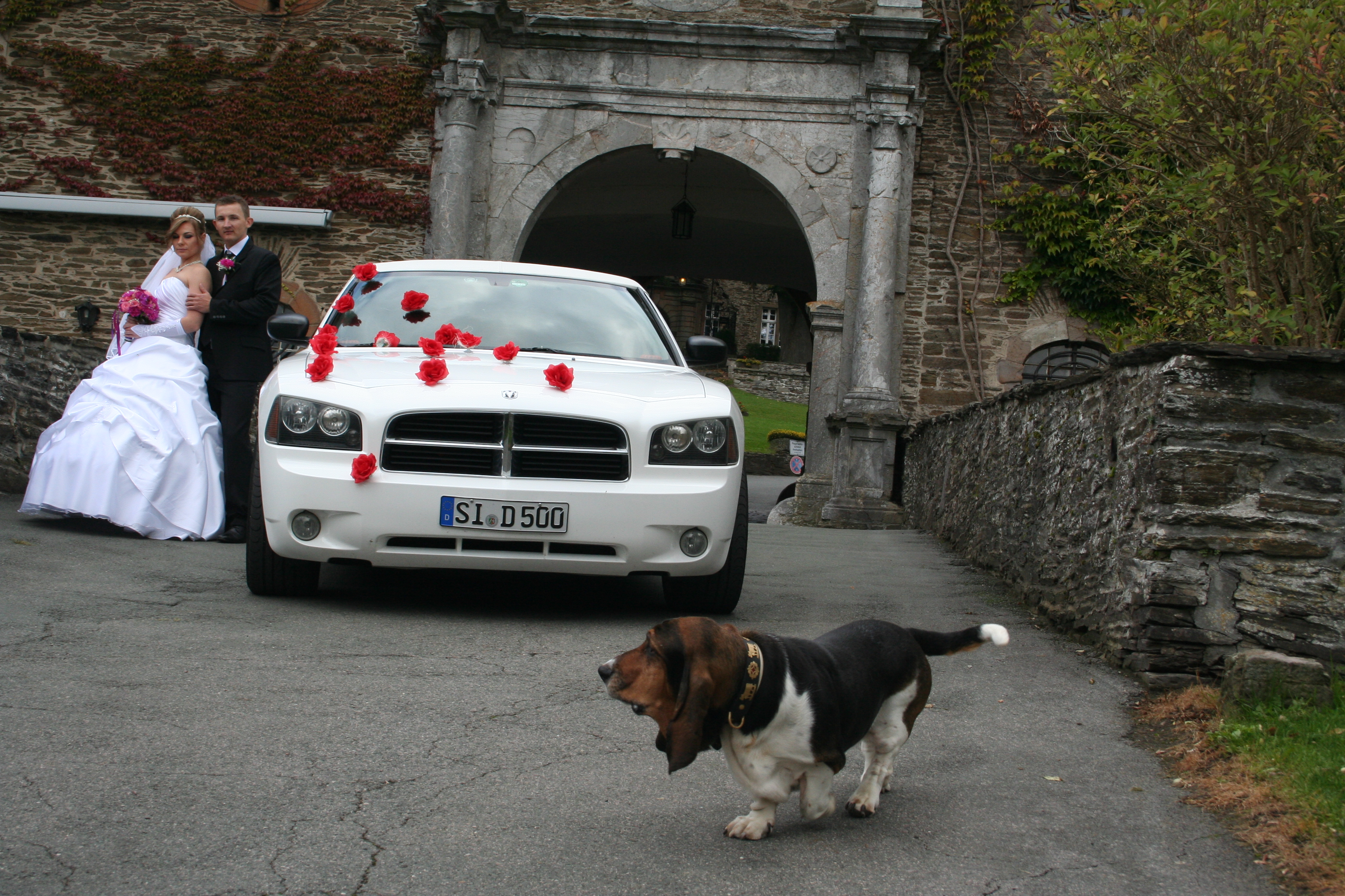 ShootingStarLimo TOP Limo www.Siegen.Limo ShootingStarLimo.de Stretchlimousine mieten in Siegen